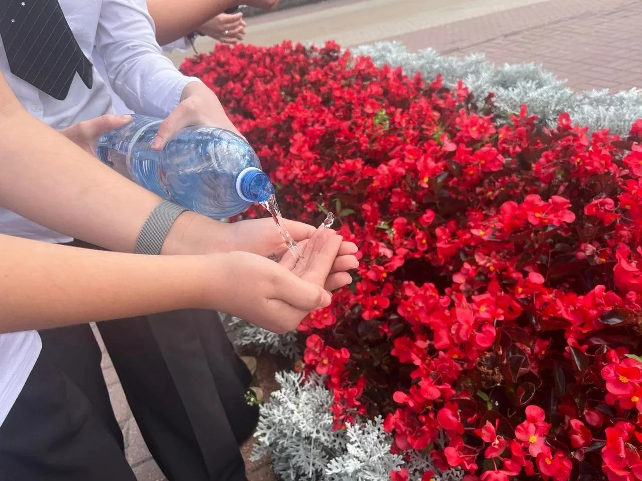 💧Сегодня на территории нашей школы прошла акция «Капля жизни». Мы присоединились ко вс...