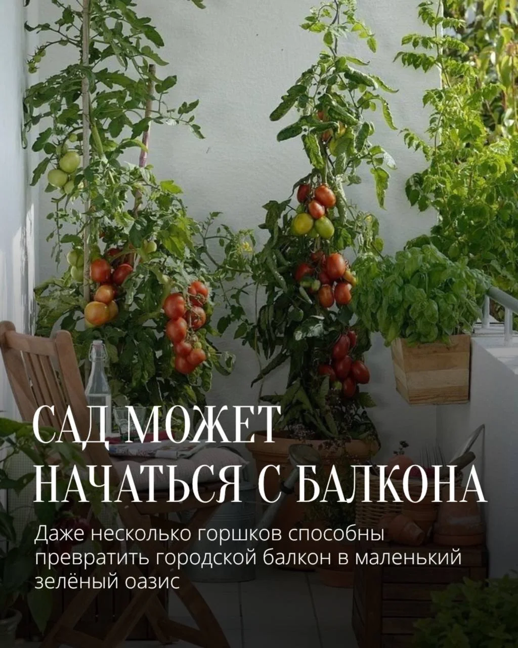 Не у каждого есть дачный участок. Но это совсем не значит, что нужно отказываться от ме...