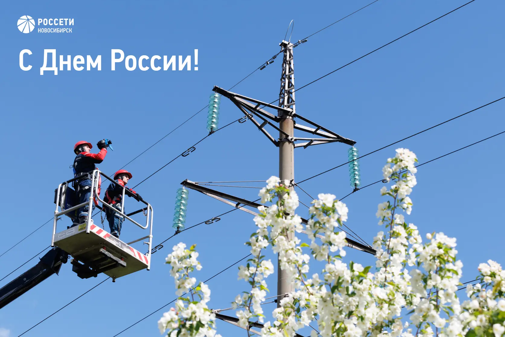 Поздравление генерального директора  компании «Россети Новосибирск» Дмитрия Шароватова с Днем России