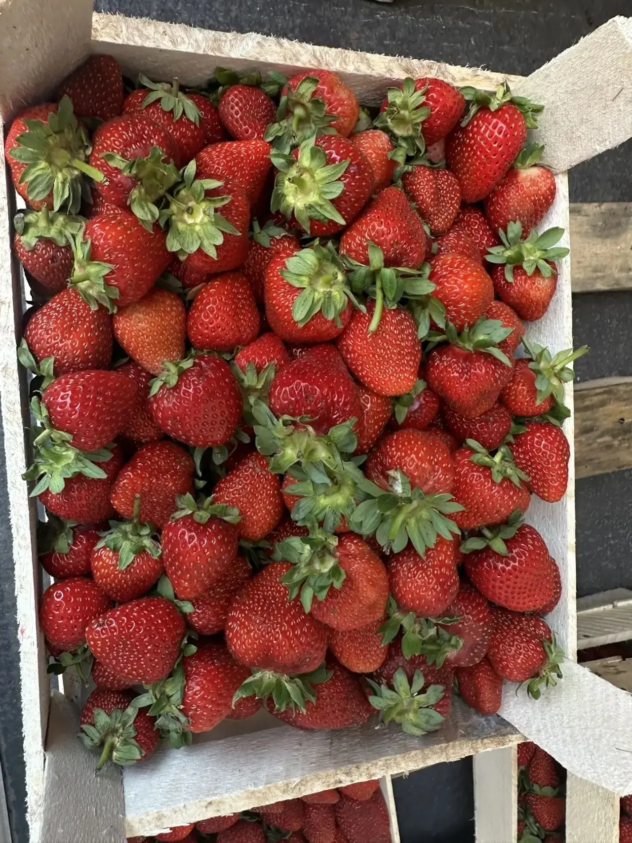 🍓🔥 💥 ЯГОДНЫЙ БУММ💥 🔥🍓