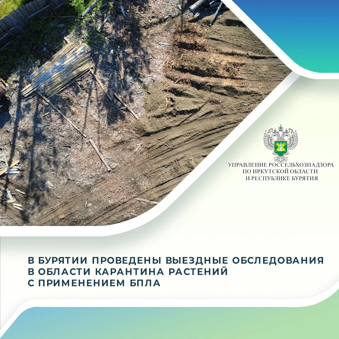 В августе 2026 года Управлением Россельхознадзора по Иркутской области и Республике Бур...