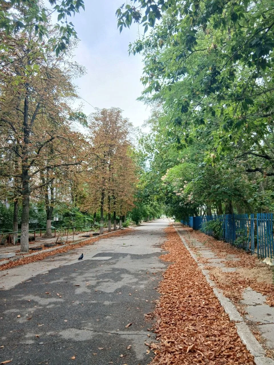 Доброе утро, Новая Каховка 🤍
