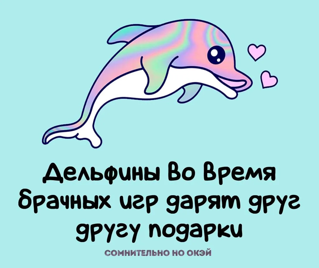 Признавайтесь, знали?