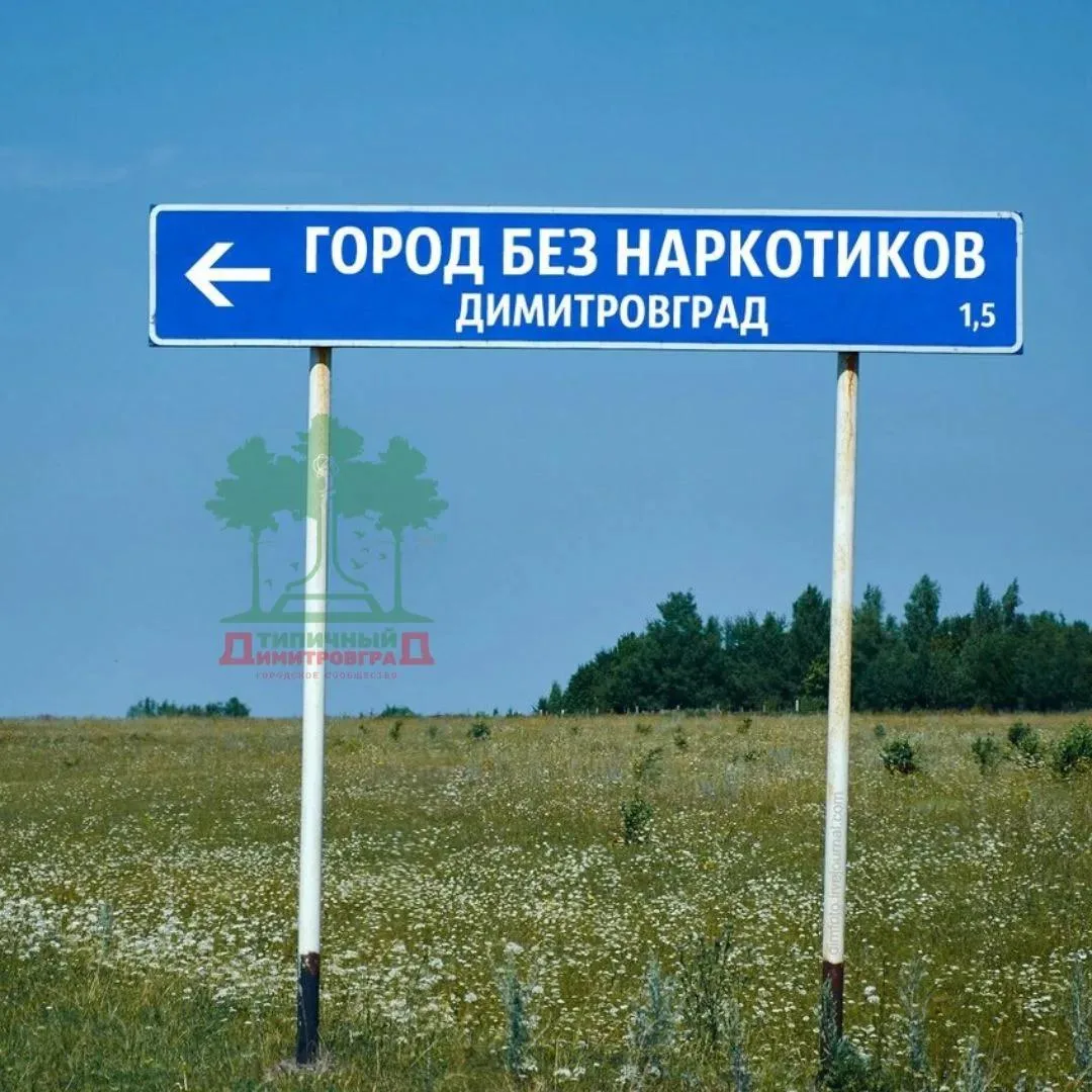 Жителя Димитровграда отправили в колонию за сбыт наркотиков знакомому