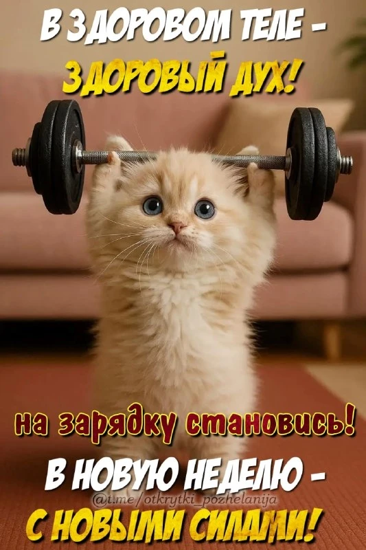 Открытки: подписаться ❤️