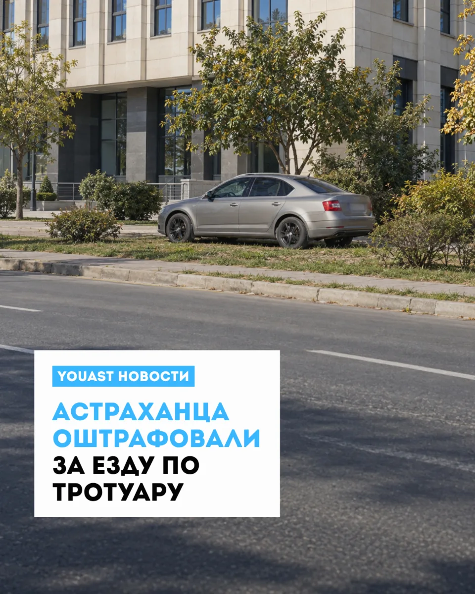 Водителя нашли по видео из интернета
