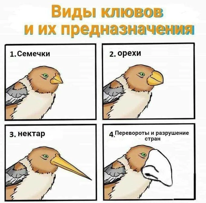 Блин, а как называется пташка под номером четыре? Зеленка? Киевлянка? Потужка? Не могу ...