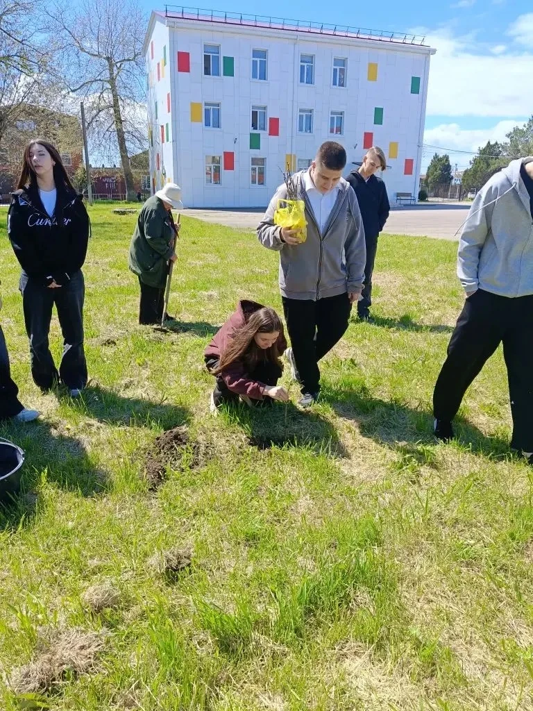 9 "В" класс МБОУ СОШ №3: Наша "Аллея Победы" – Память, которая растет! 🌱🕊️   ученики 9 "В" класса МБ