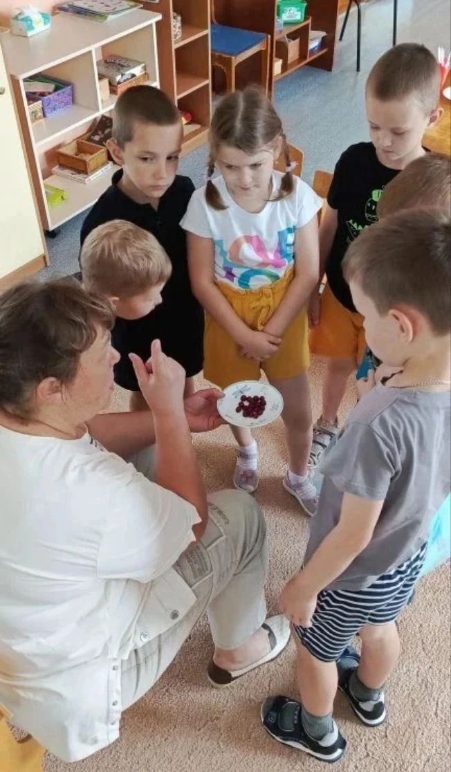 🐝Вишня - ягодка созрела,