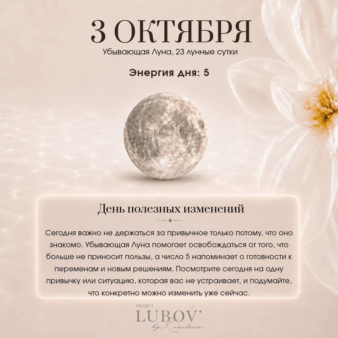 Доброе утро, чудесные! 🤍