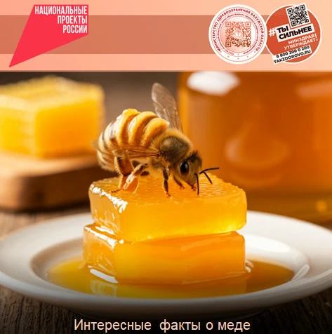 Интересные факты о меде

Мед — это нектар растений, частично переваренный пчелами в их зобе. В его с