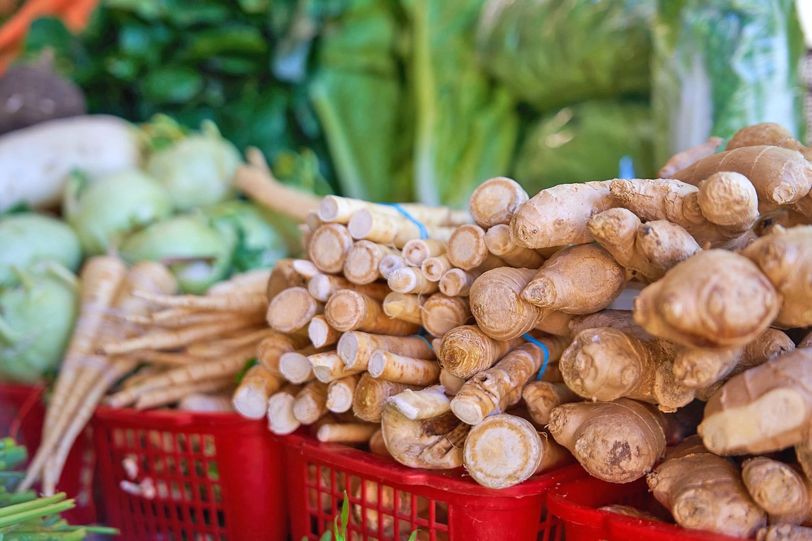 🥕 Сезон полезных корнеплодов начался на московских ярмарках