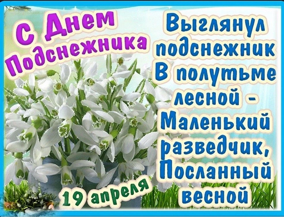 День подснежника отметили в средней и старшей группе. Воспитатели рассказали детям, что...