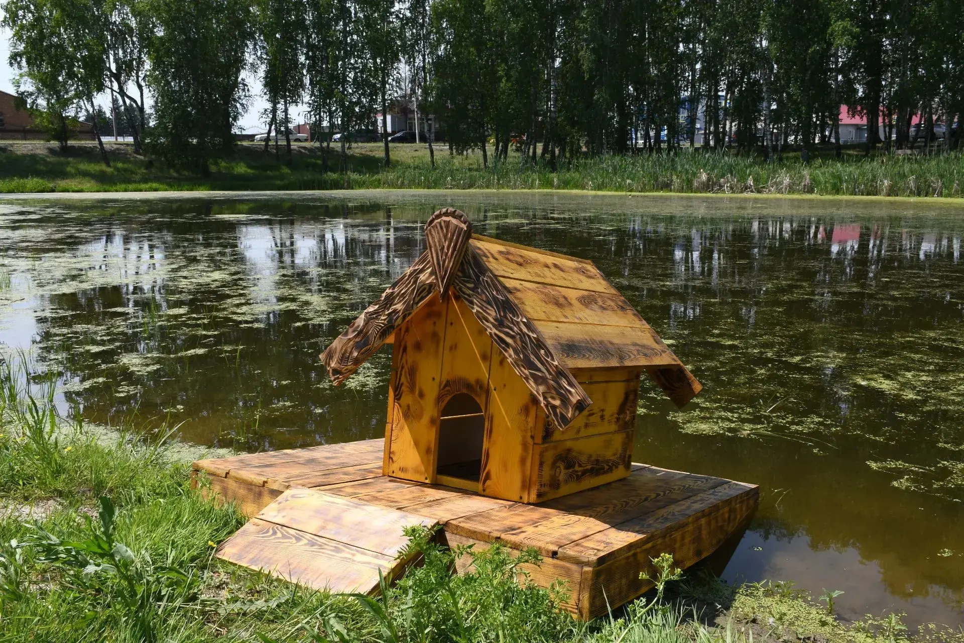 🦆На реке Пивоварка появился новый «плавдомик» для уток