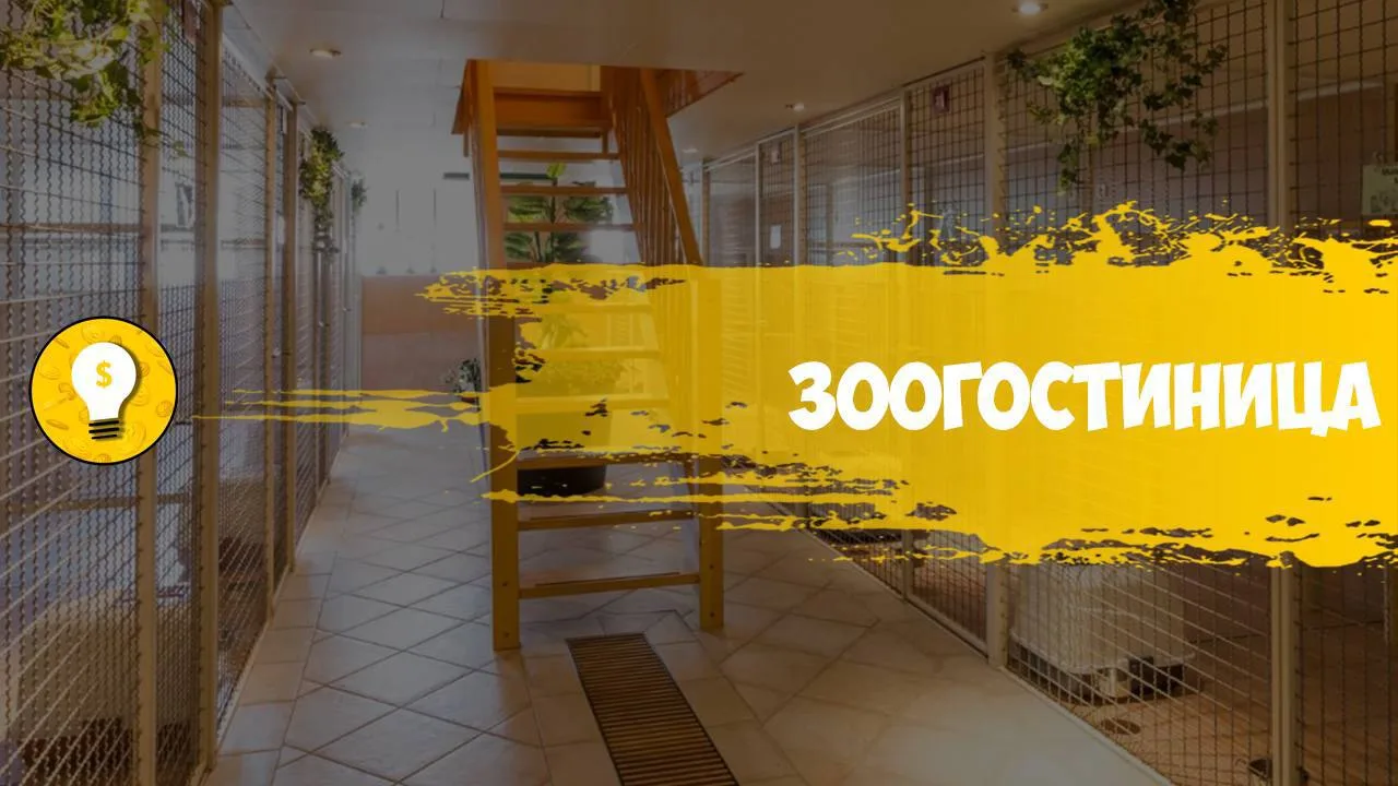 +200 000 руб/месяц на зоогостинице.