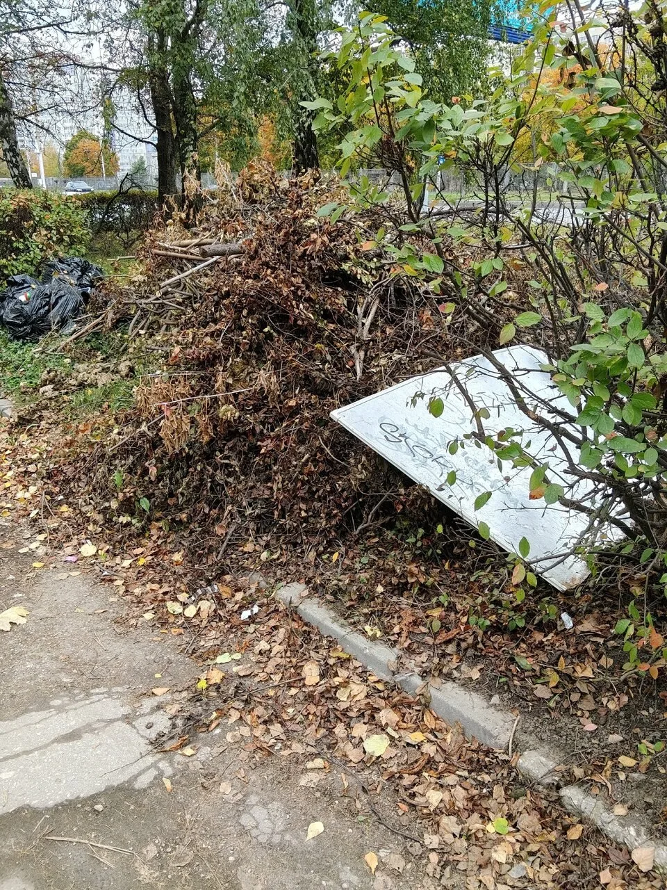 Добрый день. Вот у нас в городе открываются Национальные центры, а то что Рязань вся в ...