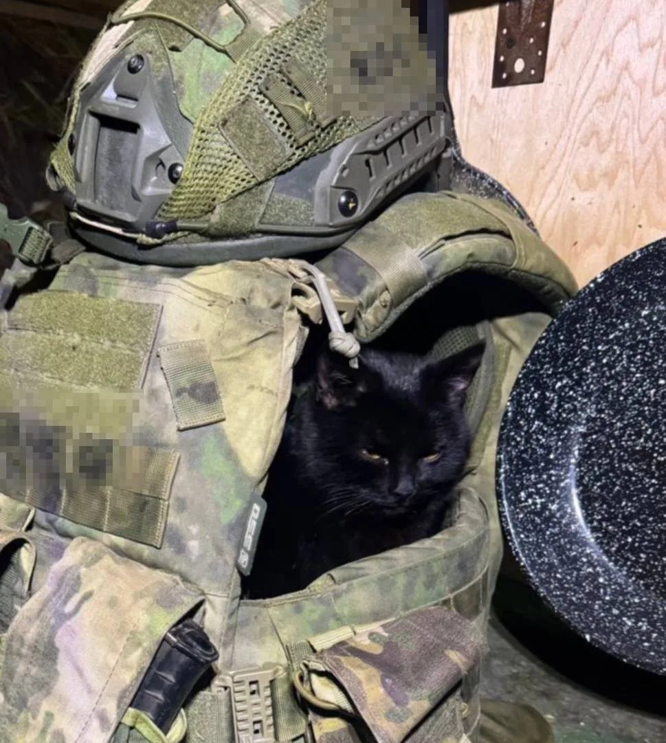 Доброй ночи всем! 😴