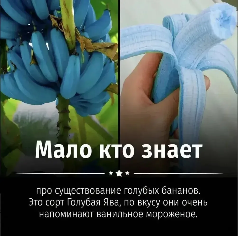 А ВЫ ЗНАЛИ? 😱