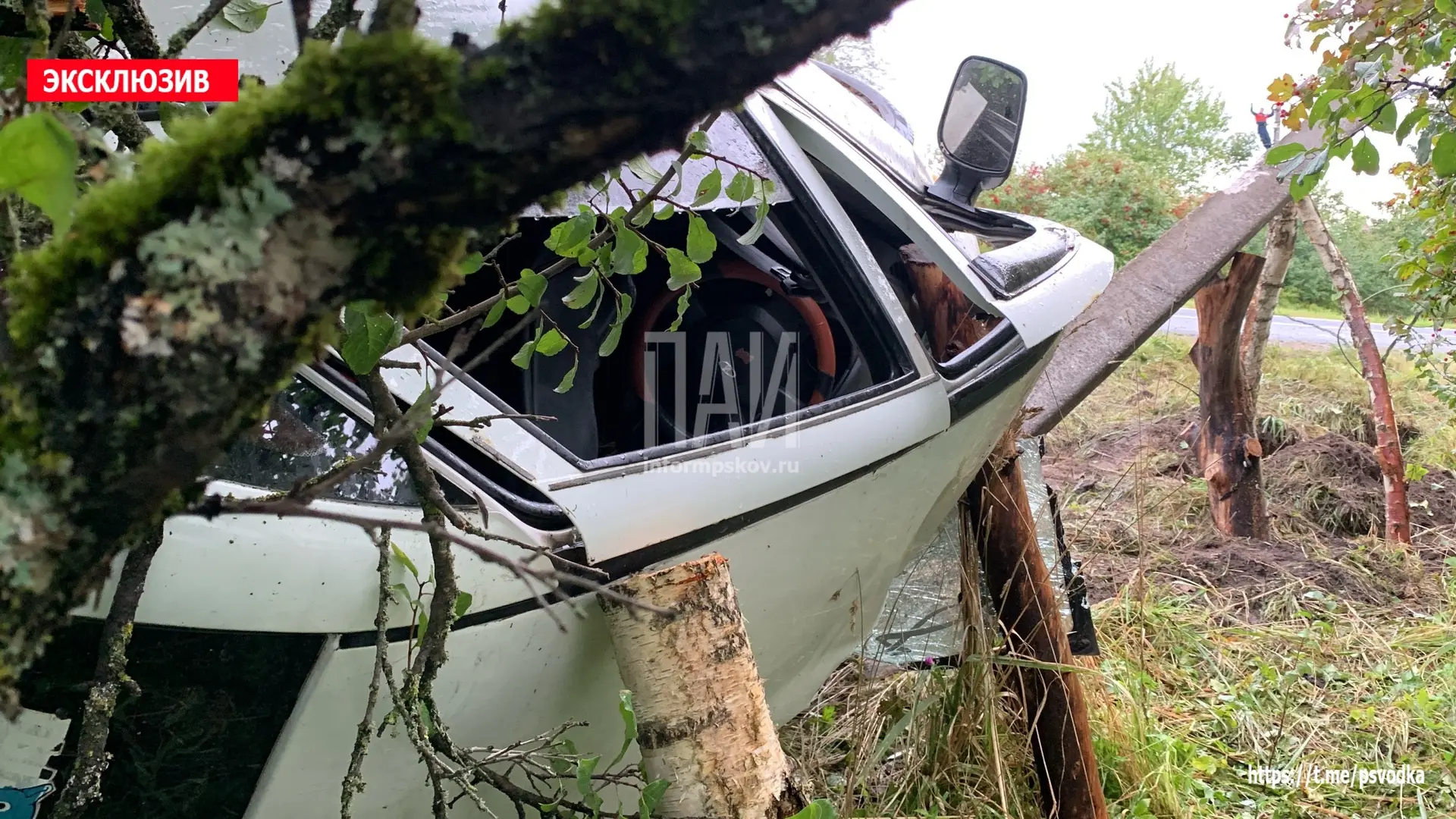 В Псковском районе, в деревне Фомкино, водитель автомобиля Lada Granta совершил наезд н...