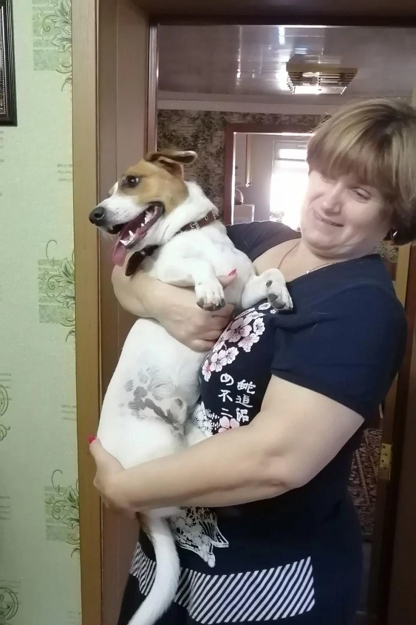 Помогите найти! Пропал этой ночью с ул. Лихачева. Может кто видел