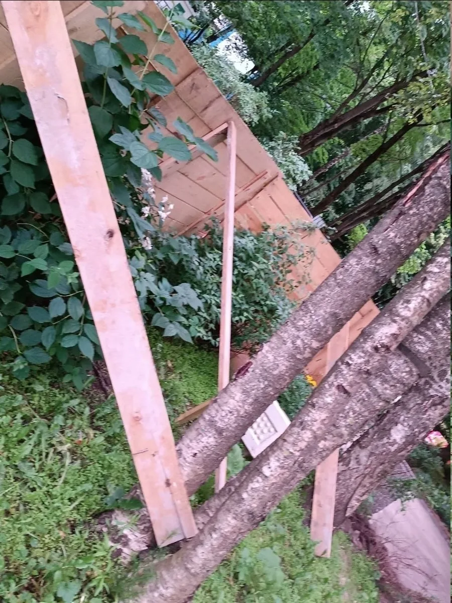 🌳 При благоустройстве двора в Зеленограде защитную фанеру прибили прямо к деревьям

Жители корпусов