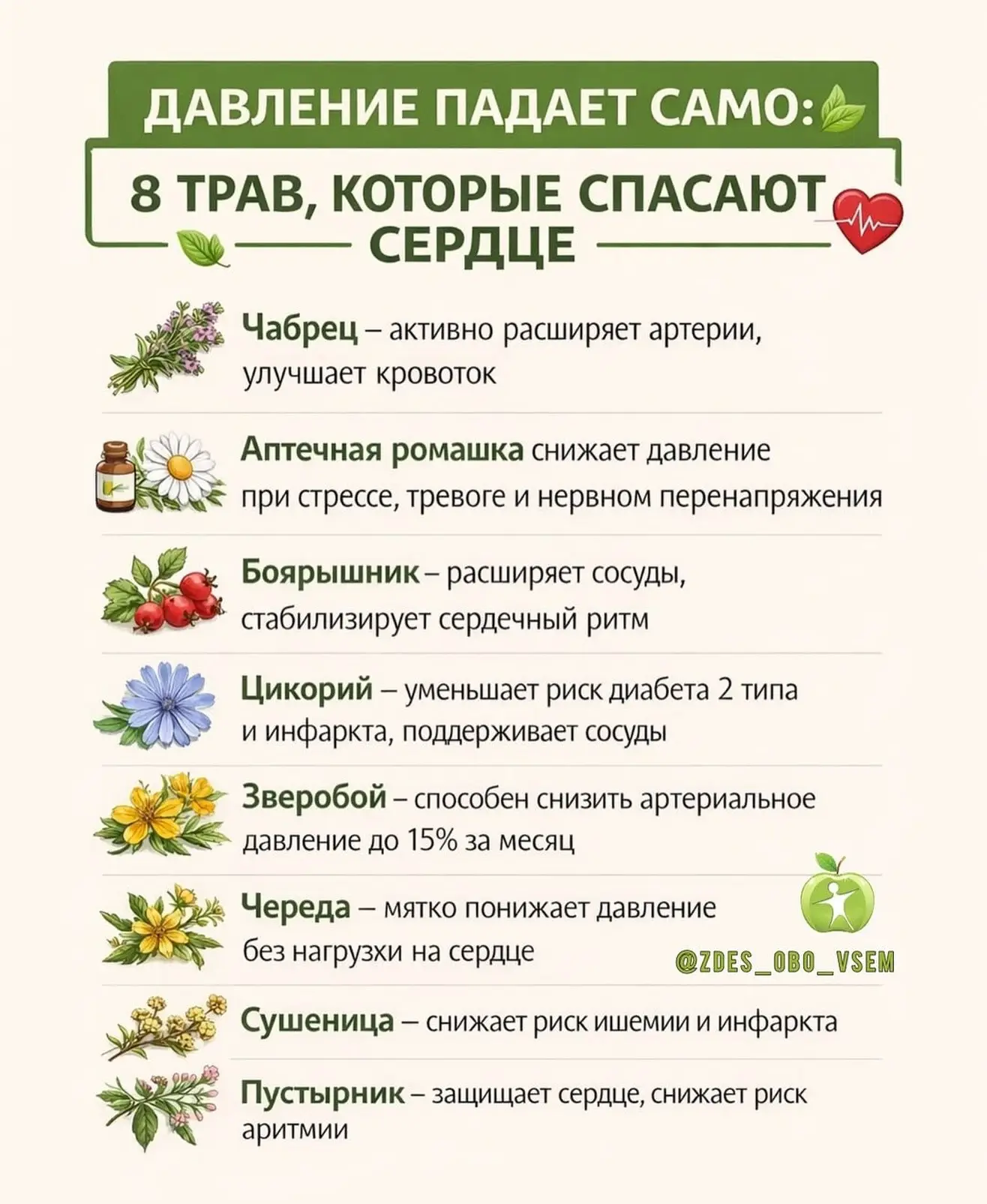 ДАВЛЕНИЕ СКАЧЕТ, А ТАБЛЕТКИ НЕ ХОЧЕТСЯ? 😳🌿