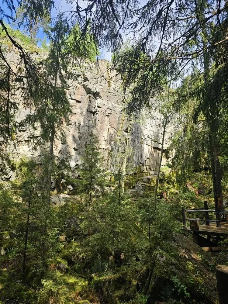 4 «В» класс отметил окончание начальной школы поездкой в Карелию  🌳 Вместе с родителями и классным р