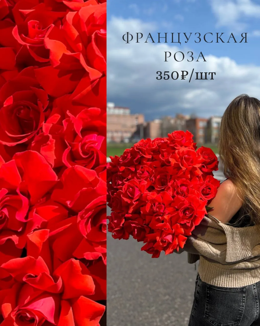 Французская красная роза — классика, которая говорит сама за себя ❤️