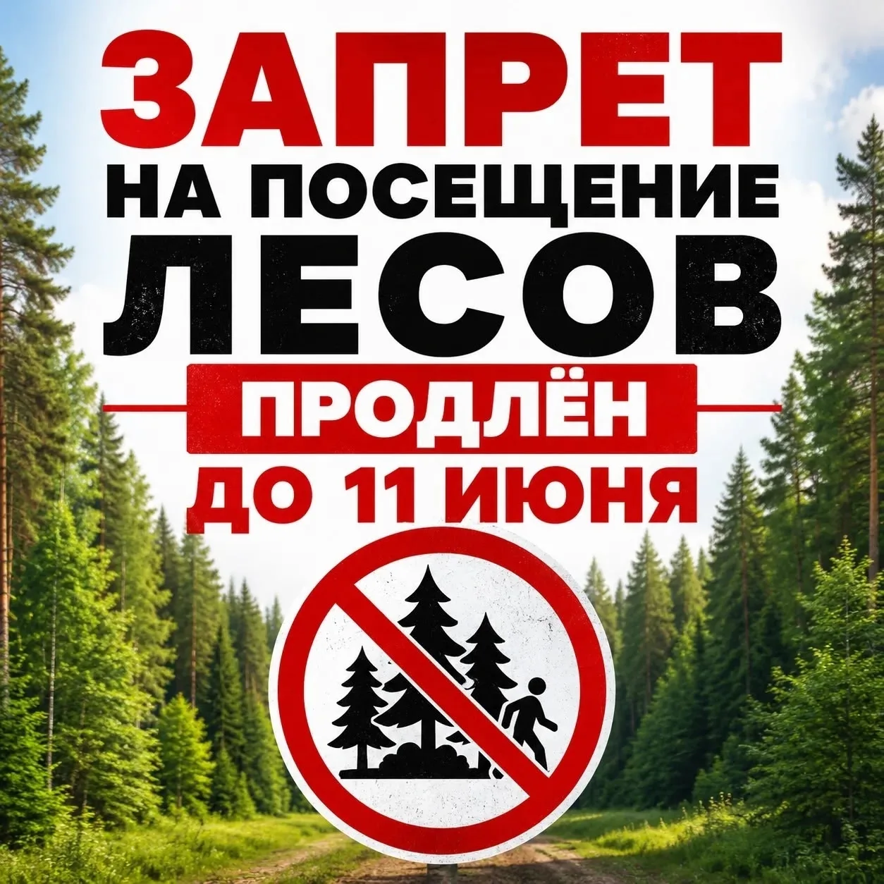 ‼Запрет на посещение лесов в Забайкальском крае, в том числе и на территории Петровск-З...