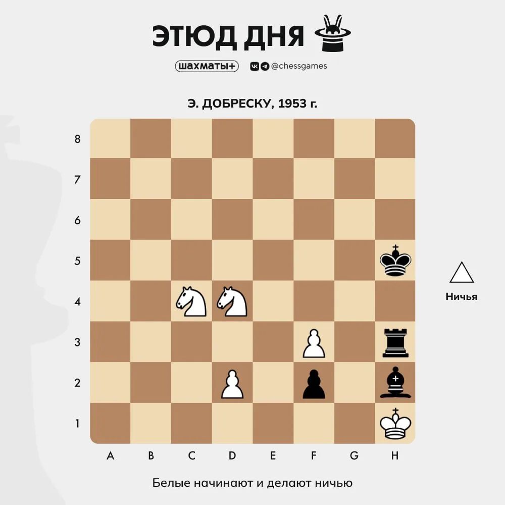 ♟  Этюд дня
🥇 Уровень сложности: продвинутый
📈 Примерный рейтинг: 2400+ Lichess

🇷🇴 Эмилиан Добр