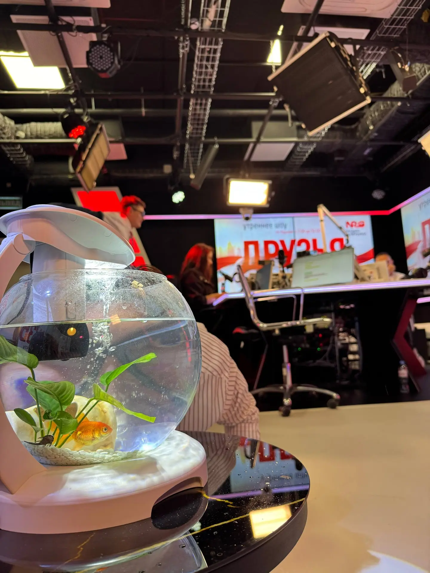 🐠 Ладно, вот на самом деле наша рыбка!