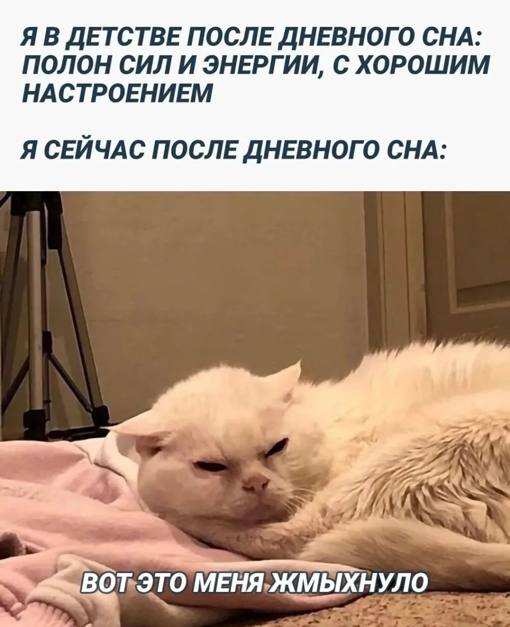 Подпишись на юмор 😂