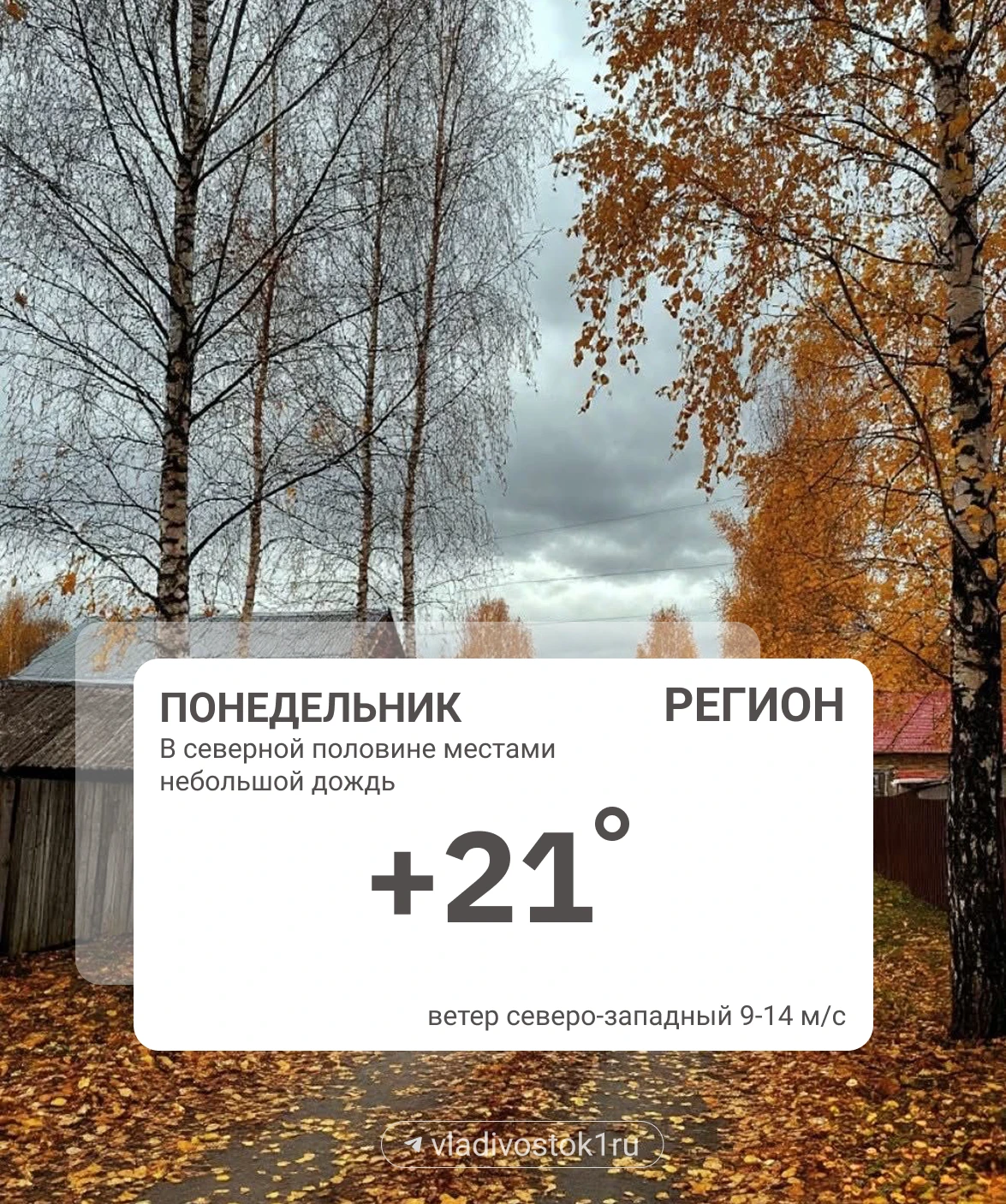 Погода 14 сентября.