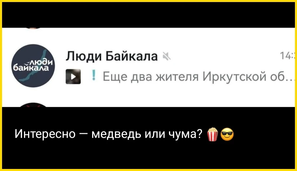 Медведи и чума нужны, чтобы отвлечь внимание от бензина, ограничений интернета и дронов.