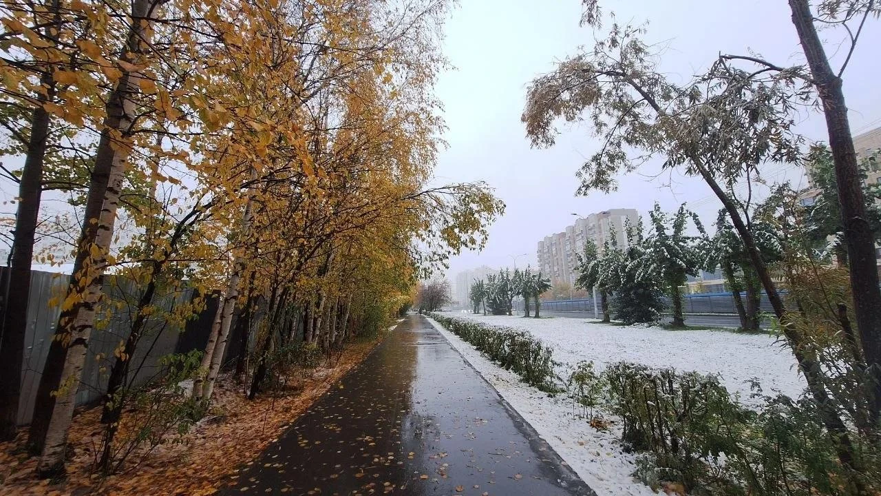 Когда осень встретилась с зимой на одной югорской дороге🍁❄️