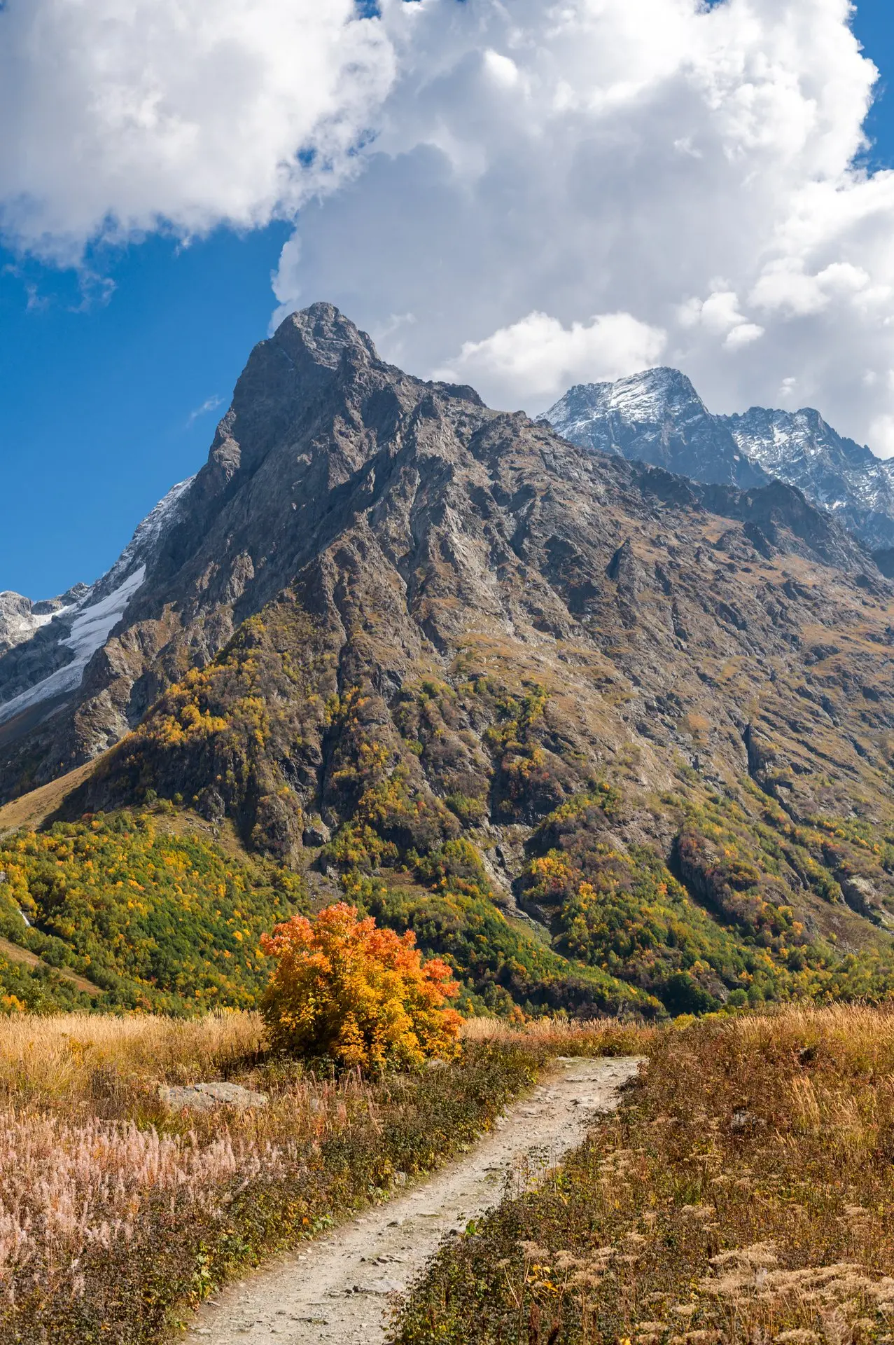 ⛰️ Ущелье Домбай-ульген и Птышское.