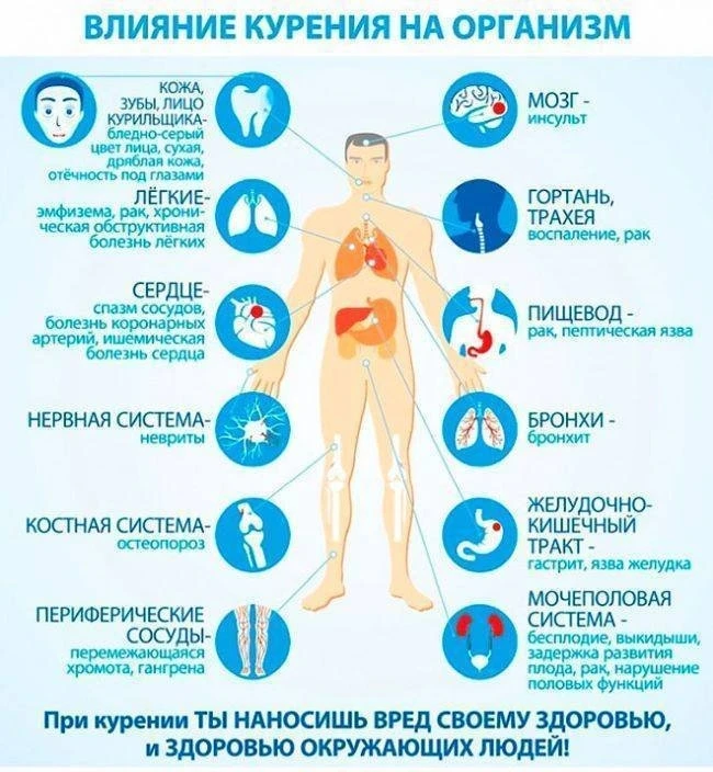 С 25 по 31 мая 2026 года в России проходит "Неделя отказа от табака" (В честь Всемирног...