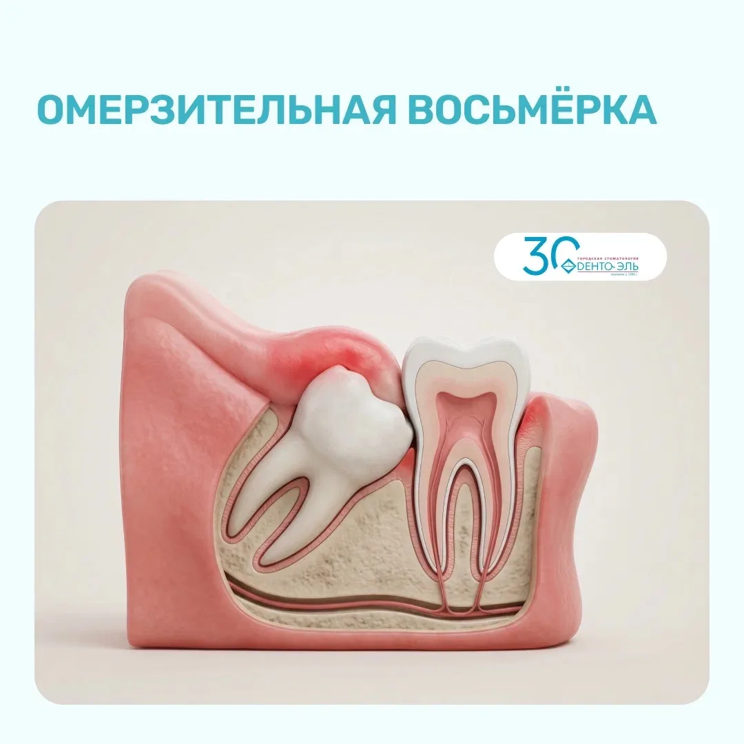 Добрый день! Немного юмора 🙌🏼