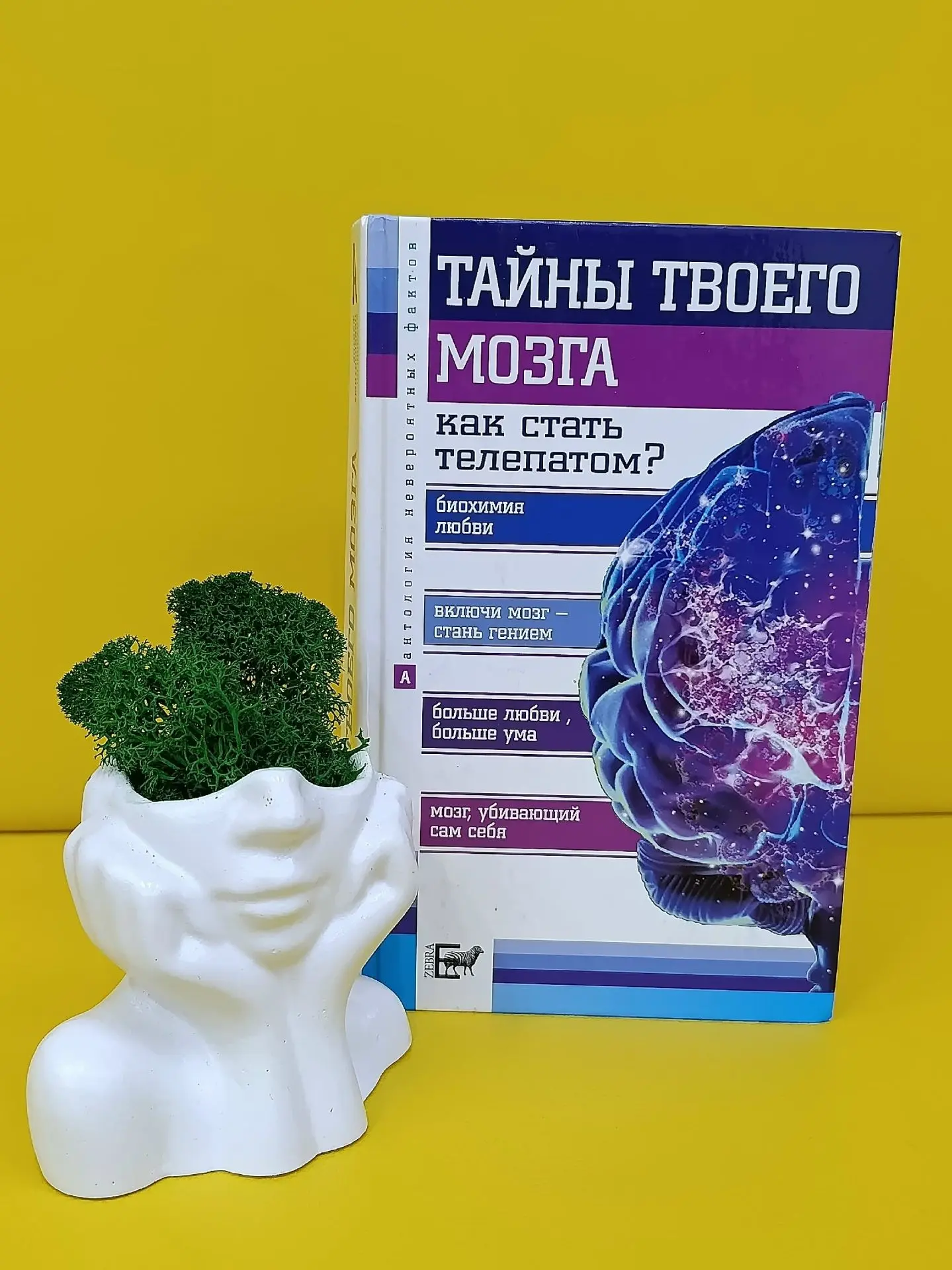 22 июля отмечается Всемирный день мозга!
Приглашаем познакомиться с книгой «Тайны твоего мозга» из с