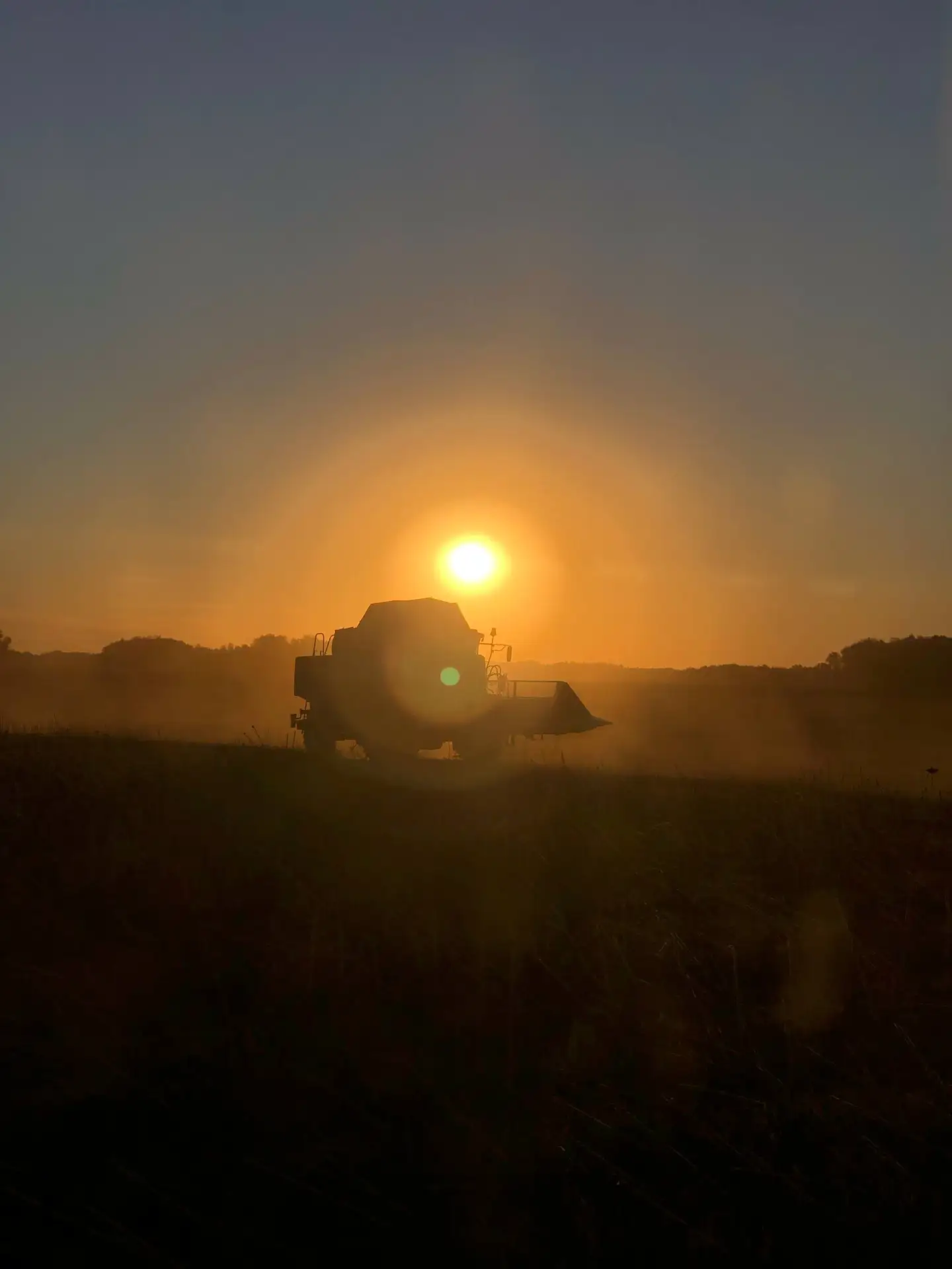 А вы когда-нибудь видели уборку семечек на закате? 🌅🌻
