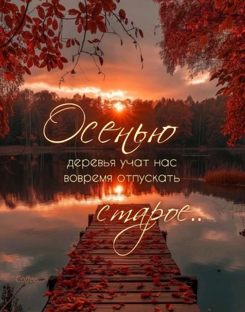 #цитаты