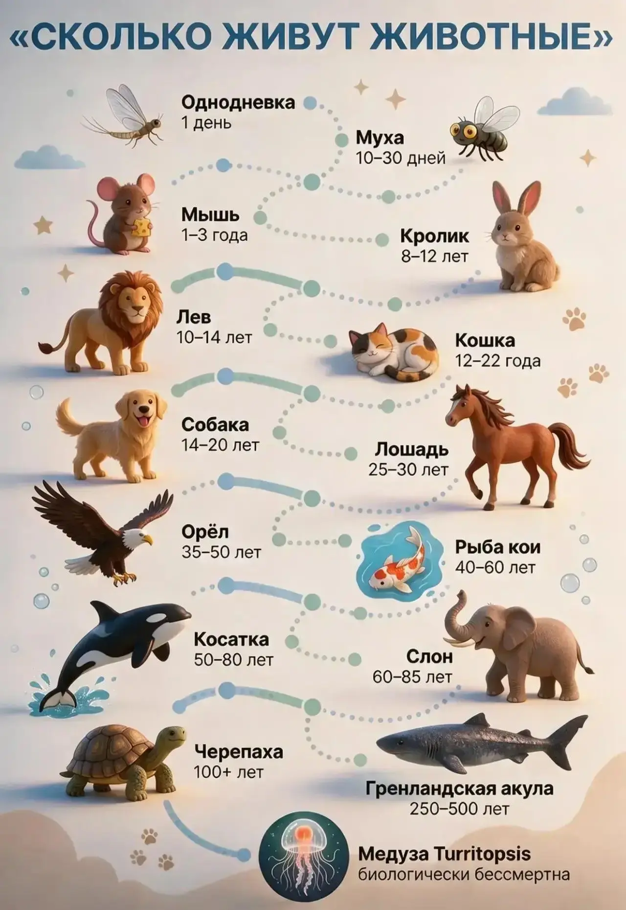 От однодневки до вечности: удивительный мир жизни! 😍