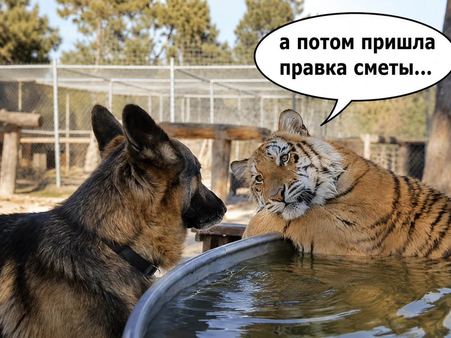 Когда кажется, что все уже согласовано…