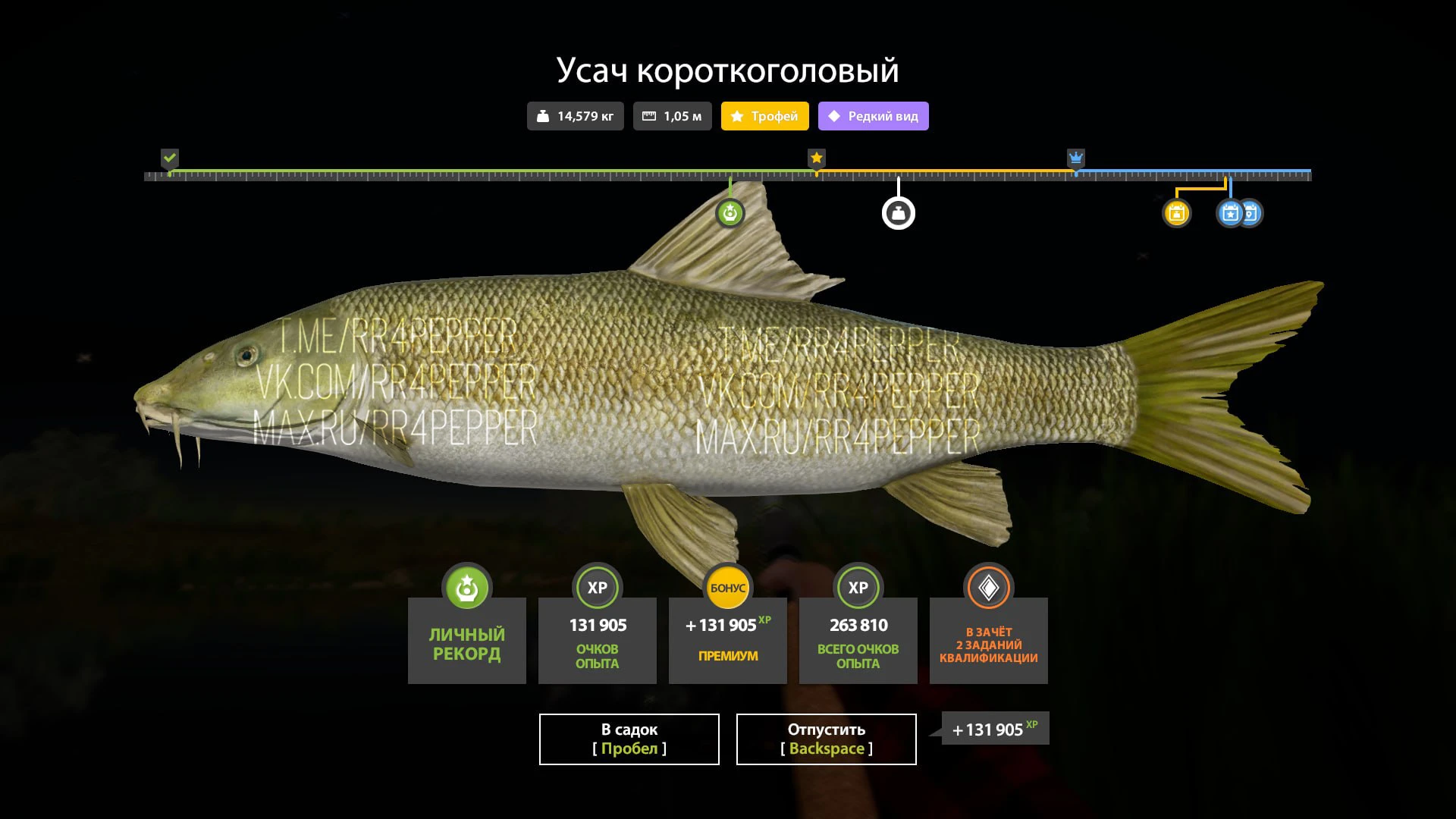 #ахтуба@rr4pepper