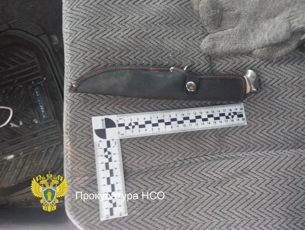 📍Попались с поличным: в Барабинске осудили троих браконьеров за незаконную охоту на  косуль  Барабин
