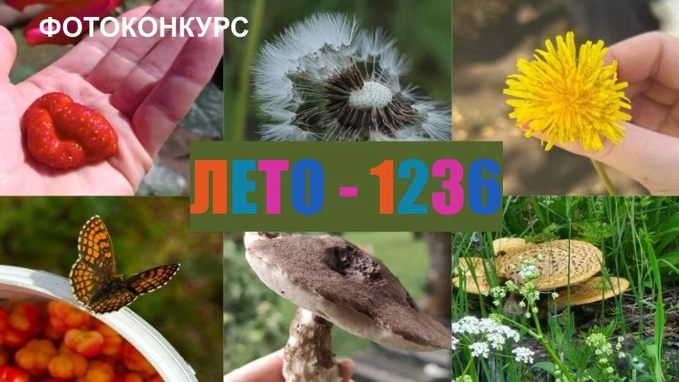 ☀ Наш фотоконкурс «ЛЕТО - 1236» продолжается!
 
 
 Тема этой недели — «ЛЕТО В ДЕТАЛЯХ»
 
 
✅Публикуй