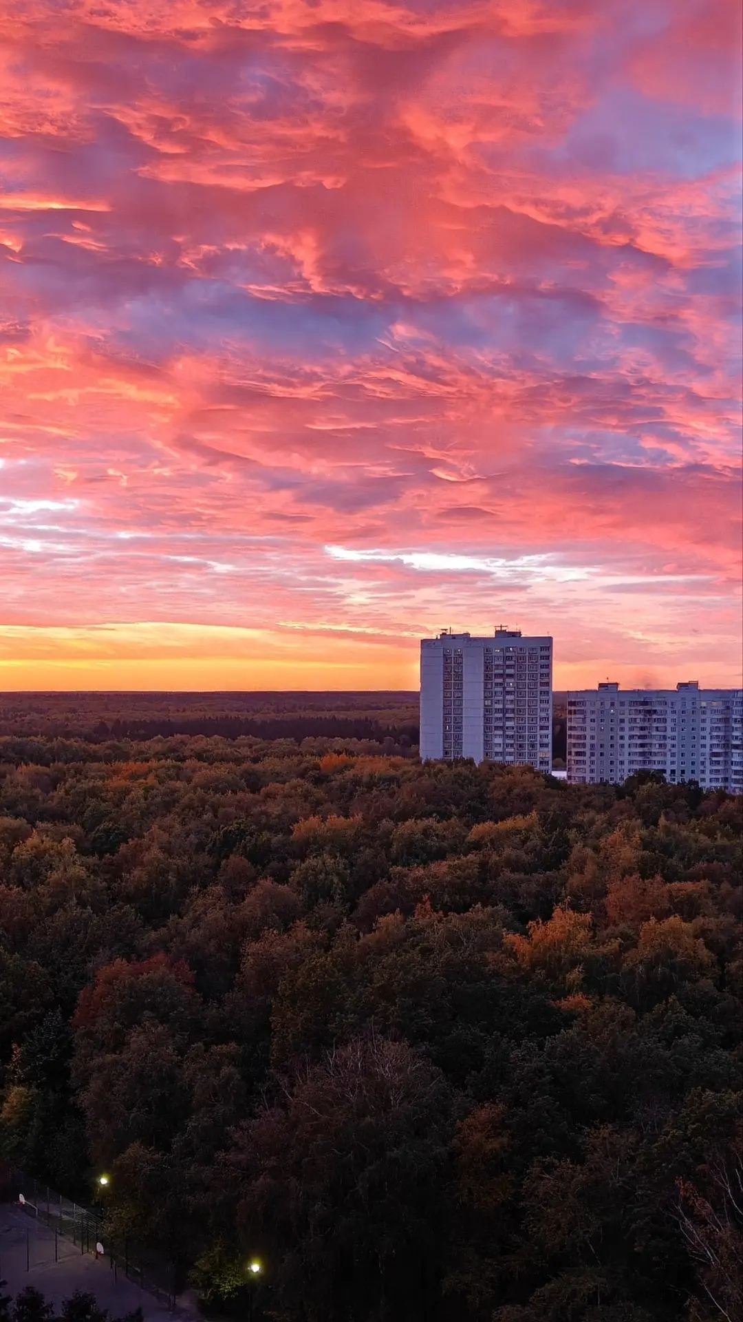🌅 Вчера был потрясающий закат — будто кто-то разлил по небу тёплые краски, пока город ...
