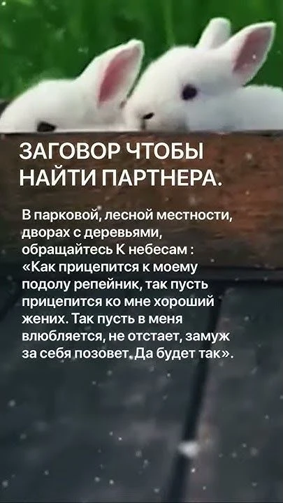 ✅ Сила слова