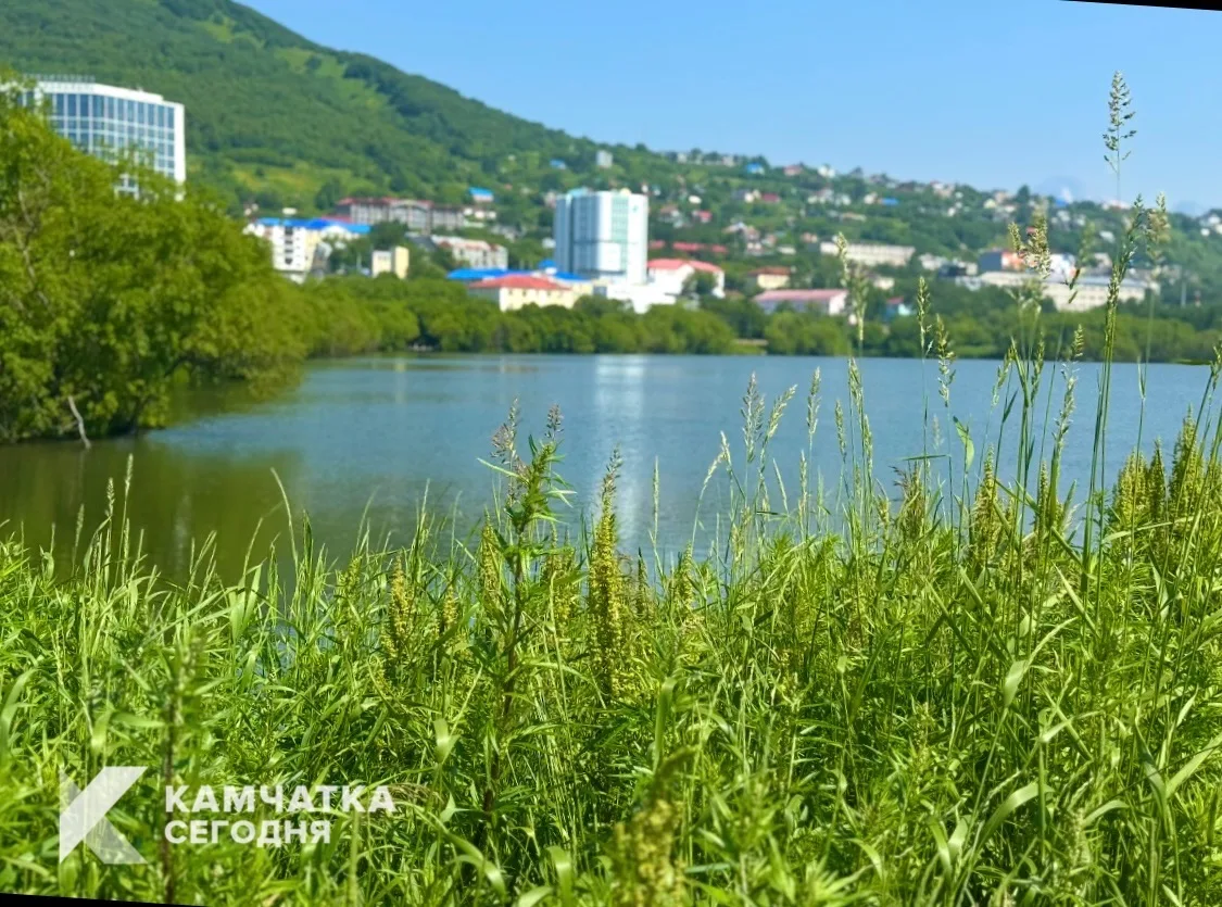Горожан приглашают обсудить благоустройство природного парка «Култучное озеро»  🌳 Петропавловск-Камч