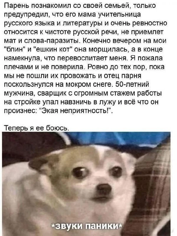 Telegram / Записки зубного детектива: